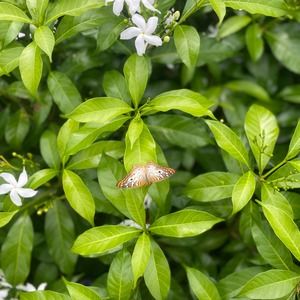 Meet your Posher, Max